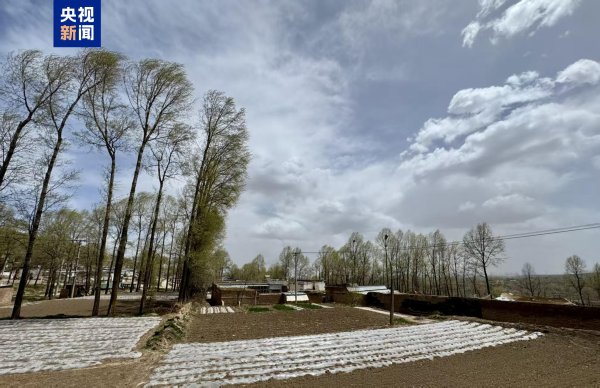 巨人配资 阵风10级以上&#32;青海多地发布大风橙色、黄色预警
