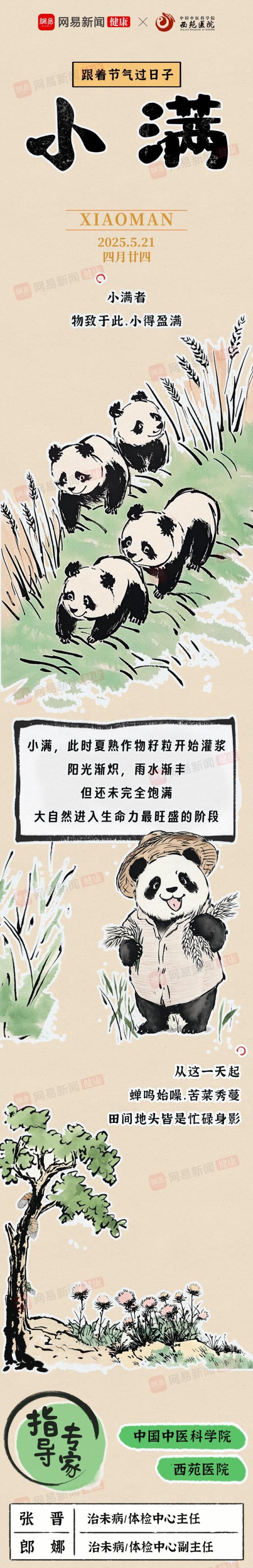 美牛股 风扇西瓜wifi，小满躺平最佳？收下这份“夏日养生攻略”