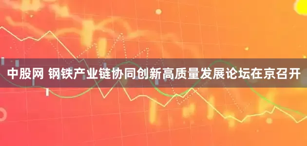 中股网 钢铁产业链协同创新高质量发展论坛在京召开