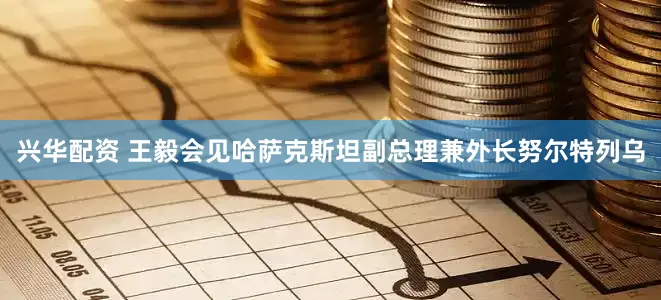 兴华配资 王毅会见哈萨克斯坦副总理兼外长努尔特列乌