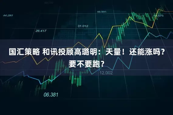国汇策略 和讯投顾高璐明:天量!还能涨吗?要不要跑?