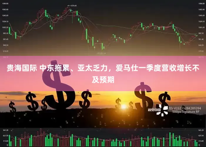 贵海国际 中东拖累、亚太乏力，爱马仕一季度营收增长不及预期