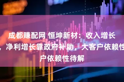 成都赚配网 恒坤新材：收入增长降速，净利增长靠政府补助，大客户依赖性待解