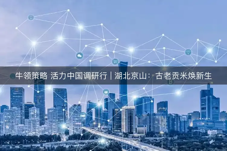 牛领策略 活力中国调研行 | 湖北京山：古老贡米焕新生